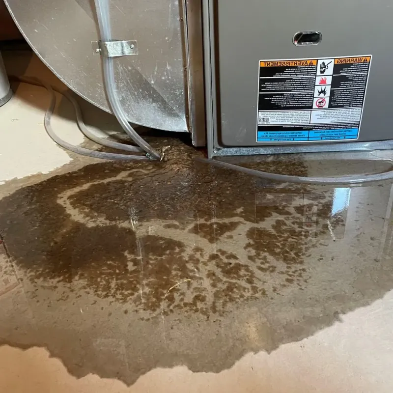 Pipe Burst and Leak Restoration in Miami Heights, OH